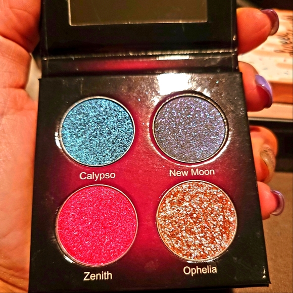 Makeup Lot Eyeshadows, Blush, & Liquid Lipstick - Picture 7 of 11